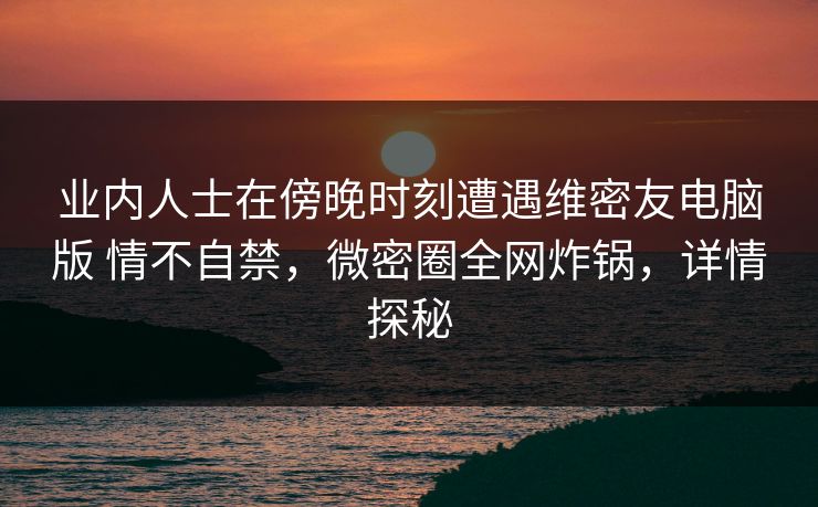 业内人士在傍晚时刻遭遇维密友电脑版 情不自禁，微密圈全网炸锅，详情探秘